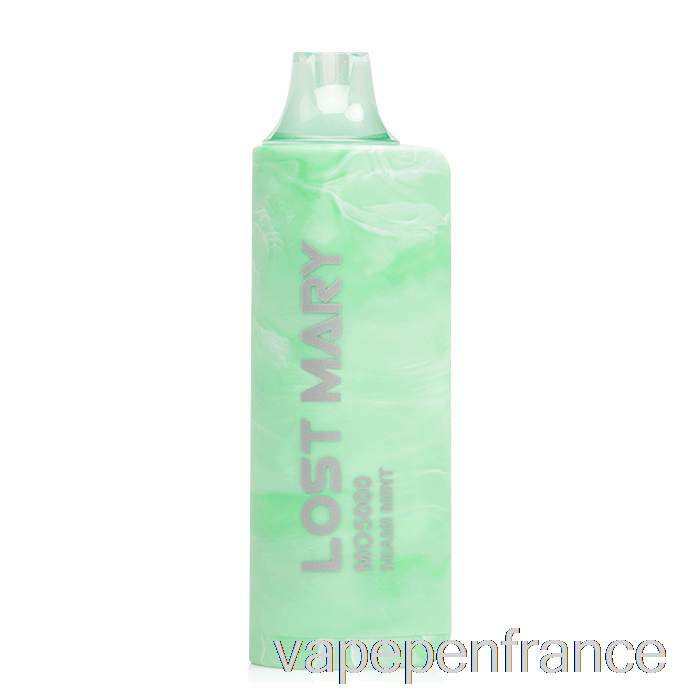 Stylo Vape Jetable à La Menthe Miami Perdu Mary Mo5000